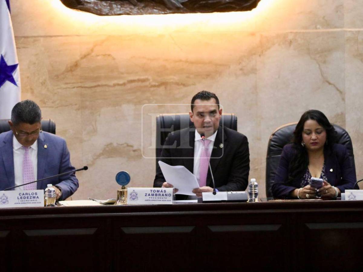 Deudas con la ENEE, el SAR y la tasa vehicular: las seis amnistías aprobadas por el CN