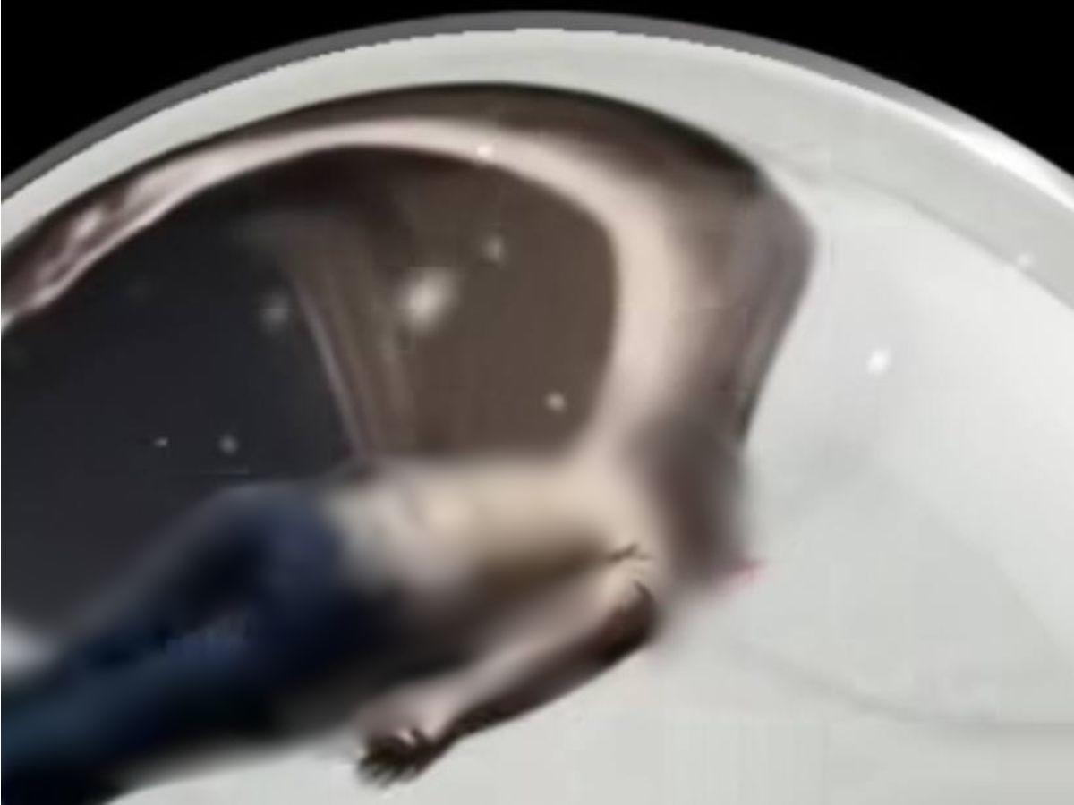 Cuadro a cuadro: captan crimen de Henry Villeda, vendedor de frutas en Copán