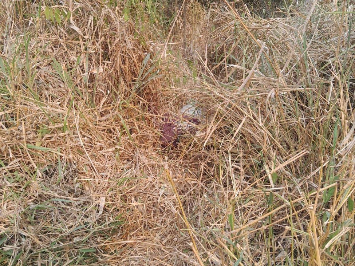 Encuentran cadáver de un hombre decapitado en San Esteban, Olancho