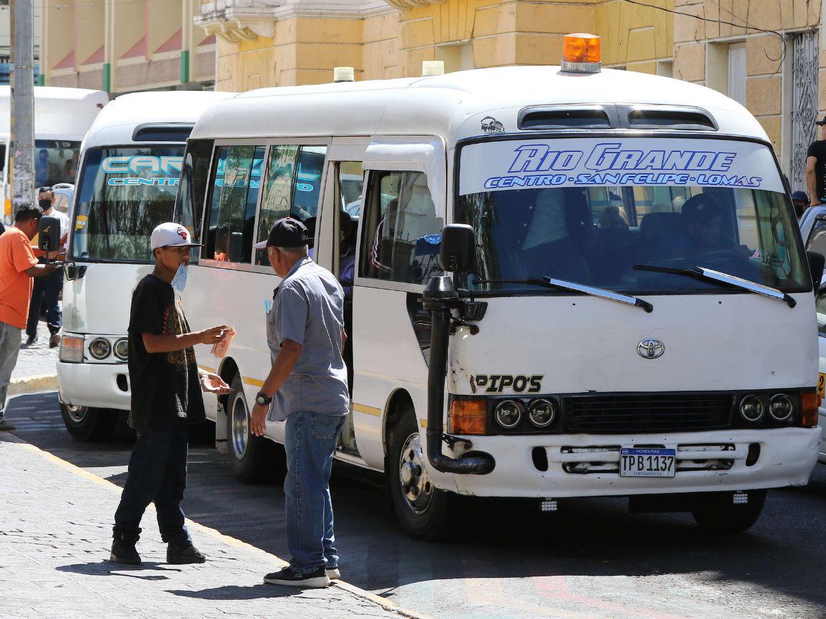 Depuración y certificación serán requisitos para manejar buses ejecutivos en Tegucigalpa