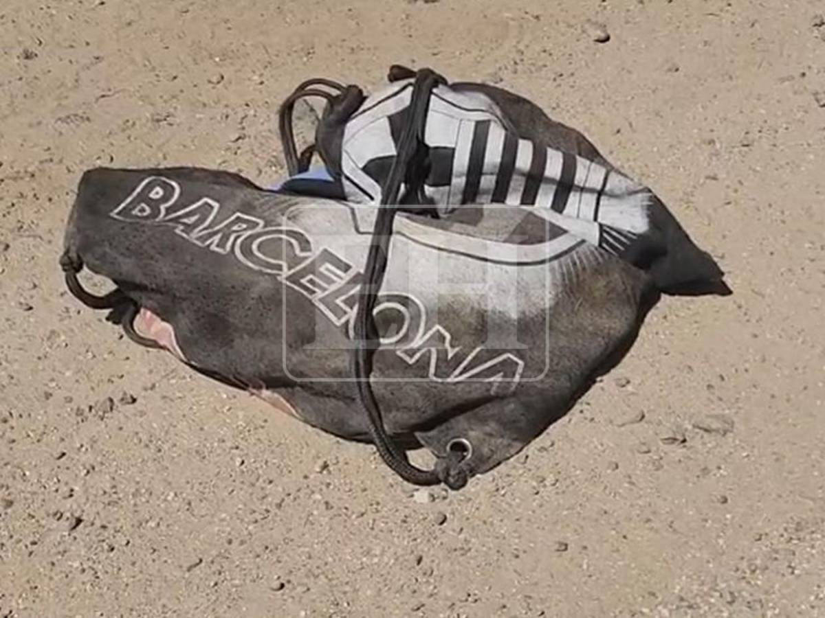 Restos de cerebro en finca de Trujillo evidencian la brutalidad con que se cometió el crimen