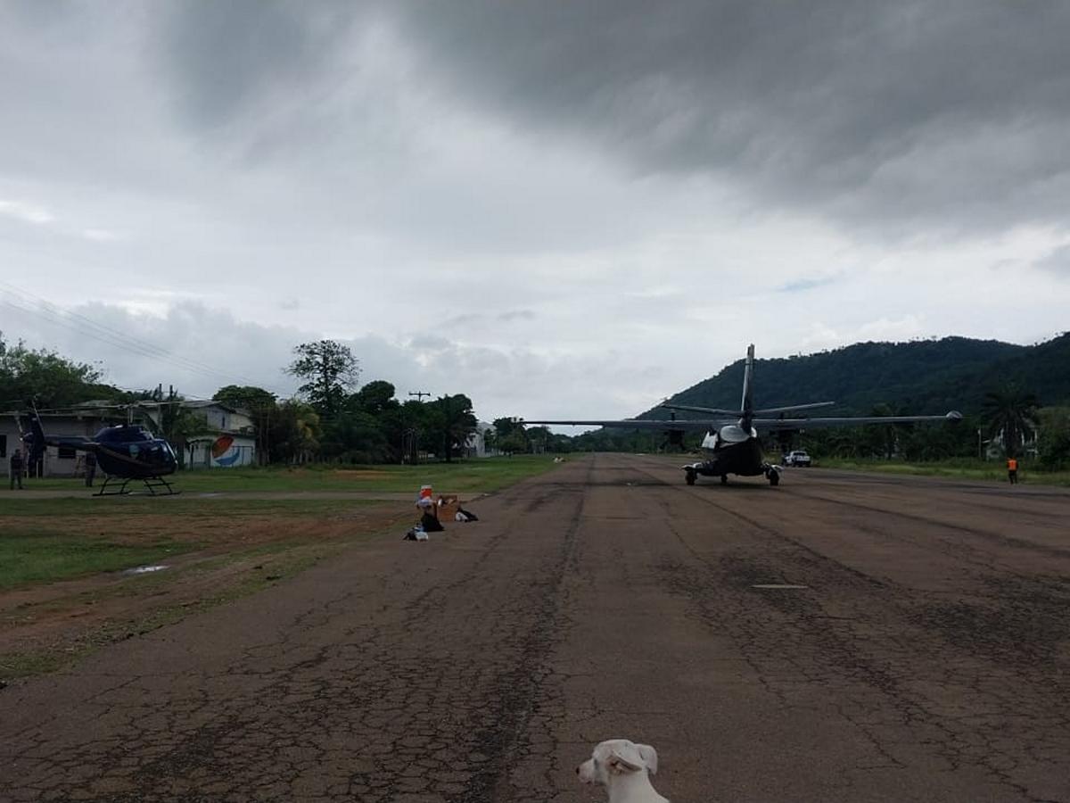 Aseguran la mayor plantación de hoja de coca en La Mosquitia