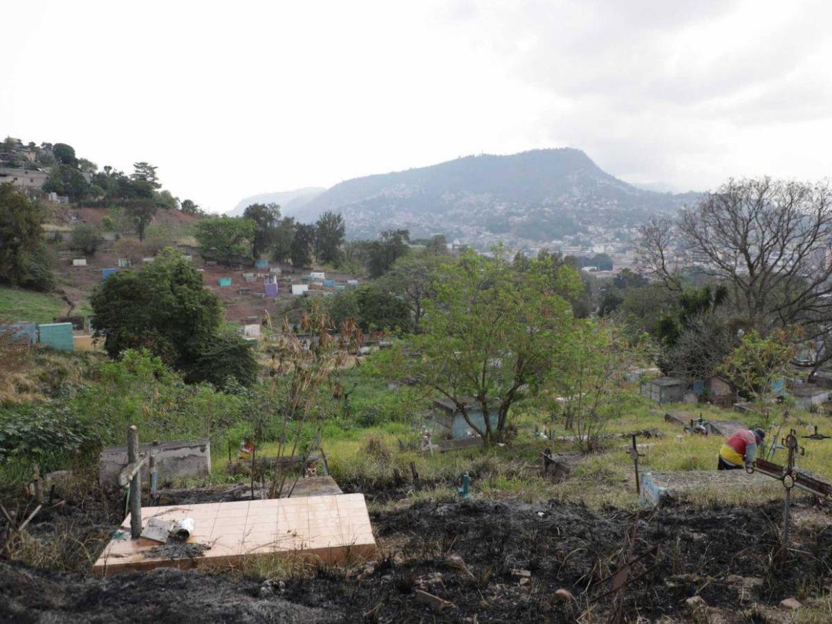 ¿Es cierto que encontraron fotos en cementerio de Tegucigalpa, incluyendo la de una diputada?