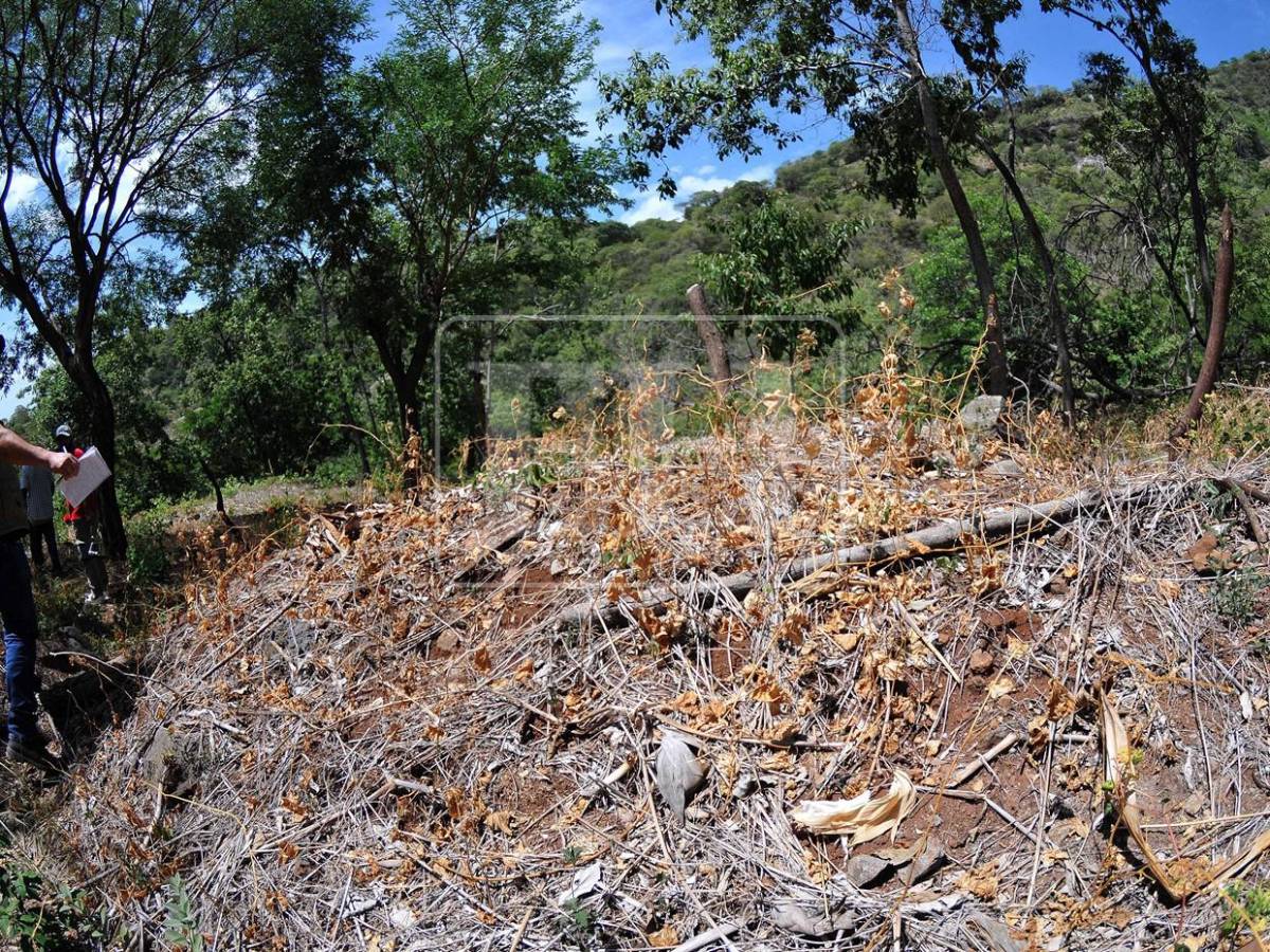 No se salvó ni un cultivo, ahora peligra el agua para consumo: el rastro de la sequía en el Corredor Seco