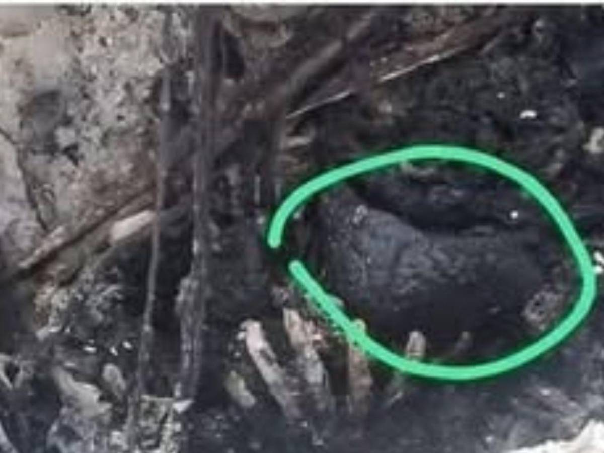 ¿Asesinato de tres jóvenes en Guayape, Olancho, sería venganza narco? Esto se sabe