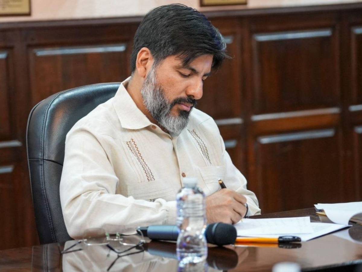 Estos fueron los puntos clave de la comparecencia de Johel Zelaya en el Congreso