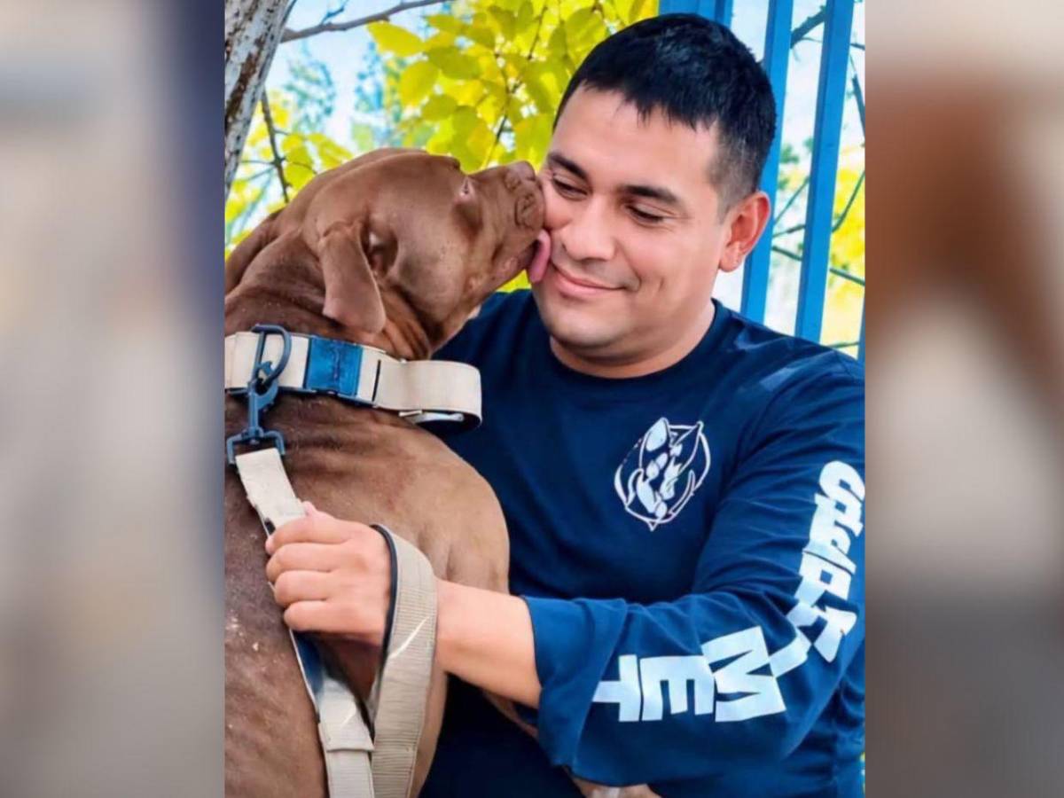 Esto hicieron con Zeus tras haber matado a su dueño en Tegucigalpa: impacta su cambio