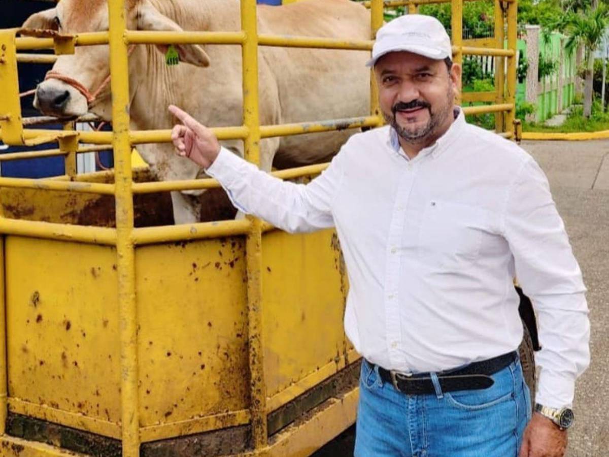 Los precandidatos a diputado más votados por departamento en elecciones primarias