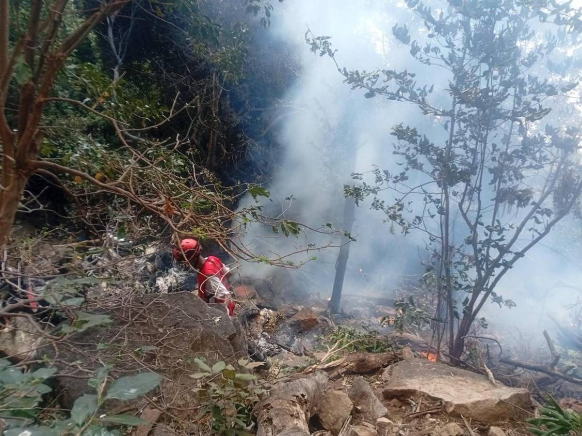 Imposible recuperar los cuerpos: la tragedia aérea donde murió gerente de Telemundo y un alto funcionario de Ecuador