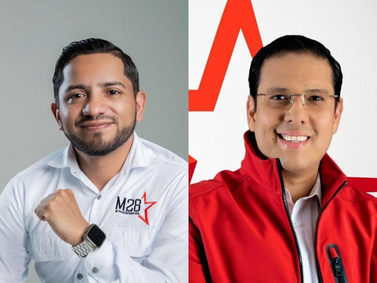 Diputados de Libre que buscan ser reelectos en las primarias del 9 de marzo