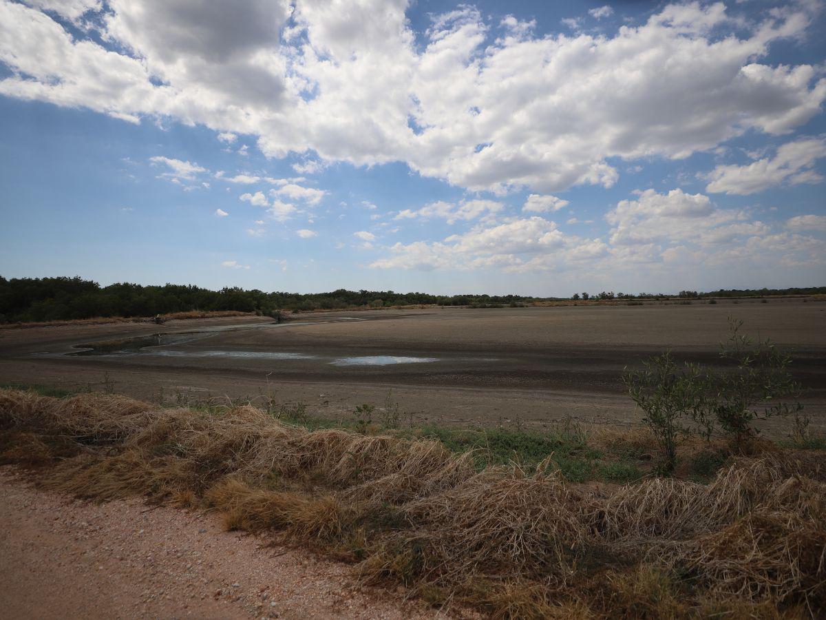 $!Si el gobierno no colabora con la industria del camarón en gestionar el mercado, temen que muchos productores no puedan recuperarse.