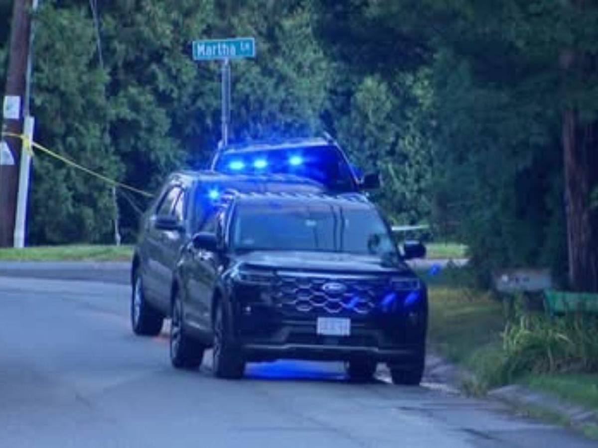 Joven acusado de matar a su familia había consultado a la IA sobre asesinatos