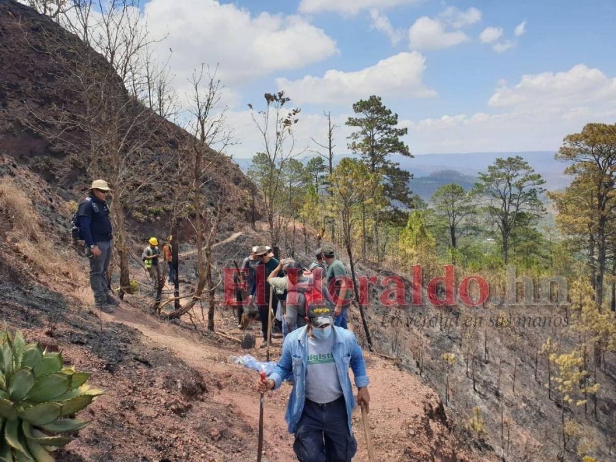 Más de 130 personas combaten incendio forestal en La Montañita