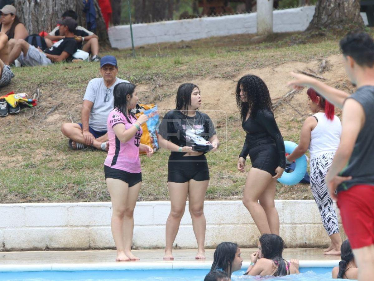 Reapertura a lo grande: actividades y diversión familiar en el Parque Obrero