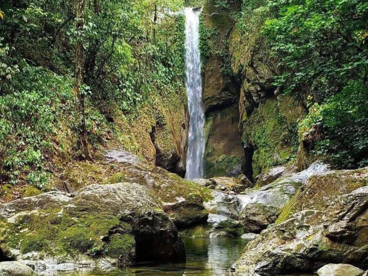 Ruta del oxígeno: parques nacionales de Honduras para visitar esta Semana Santa 2026