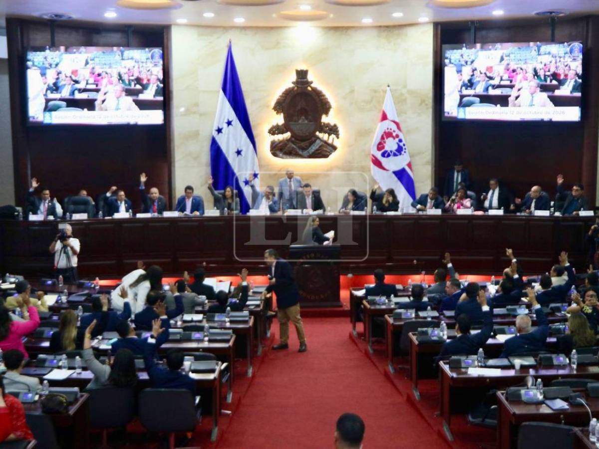 Deudas con la ENEE, el SAR y la tasa vehicular: las seis amnistías aprobadas por el CN