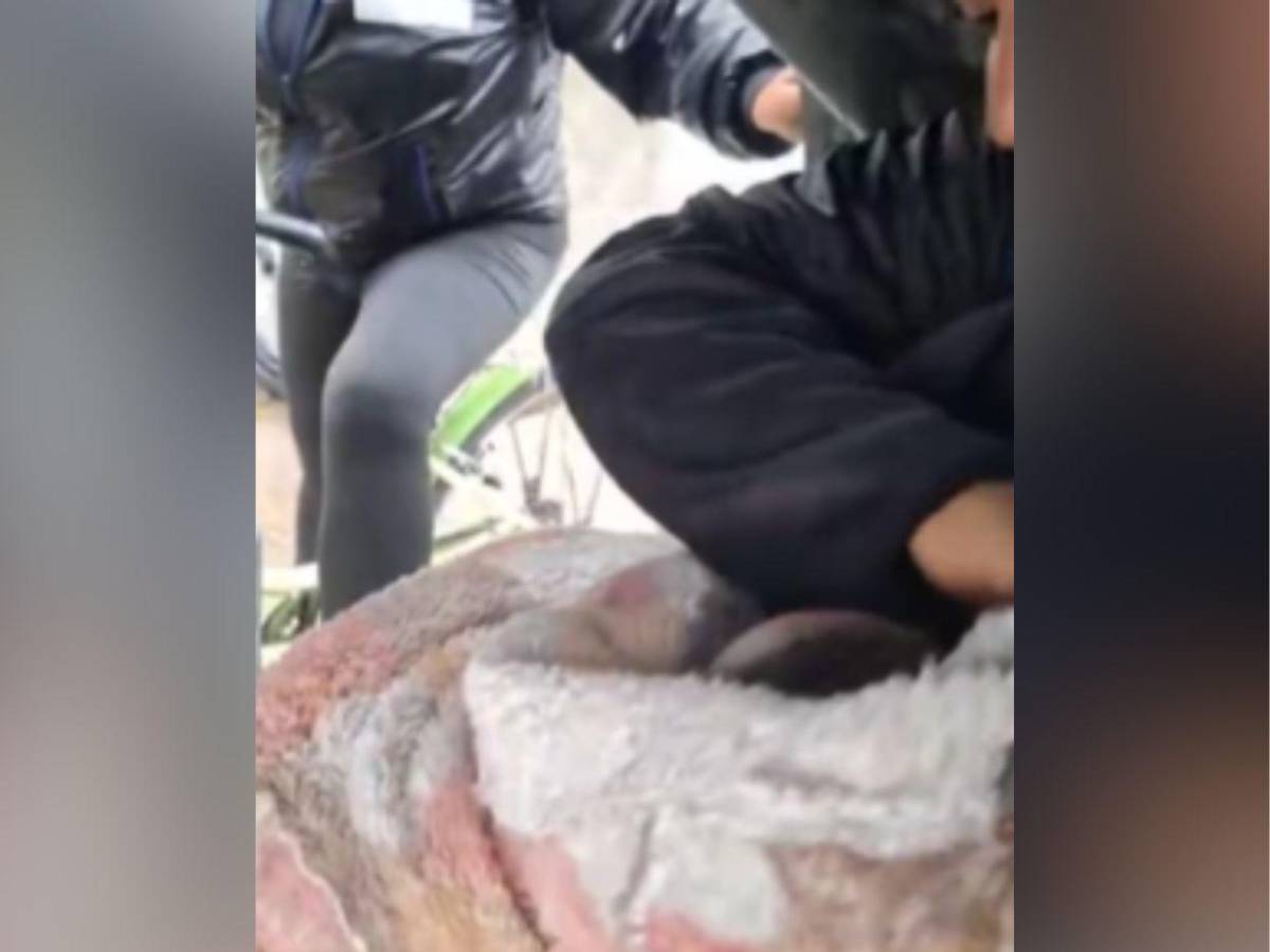 Mujer lanzó a su bebé al río y luego intentó matarse en Bogotá: Viene viva la niña