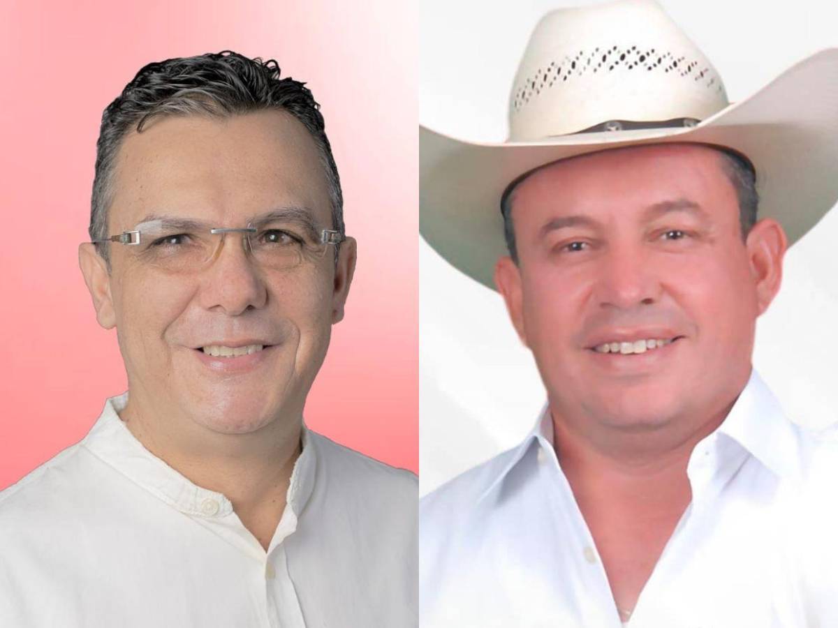 Diputados de Libre que buscan ser reelectos en las primarias del 9 de marzo