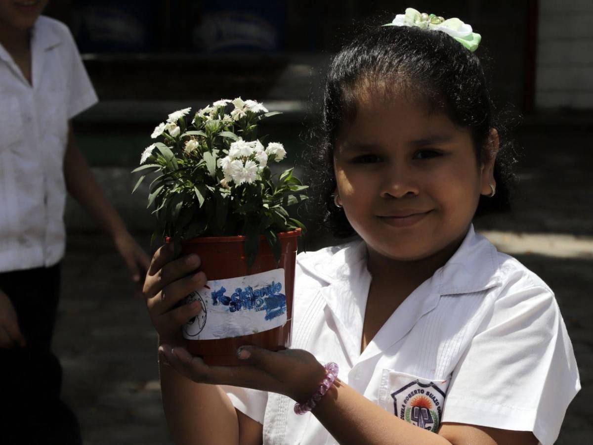 Plantas, reciclaje y un fiel compromiso: Así finaliza la Semana 7 de EAA