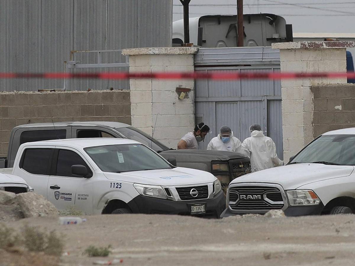 Olores fétidos y 381 cuerpos a medio embalsamar: el dantesco hallazgo en Ciudad Juárez