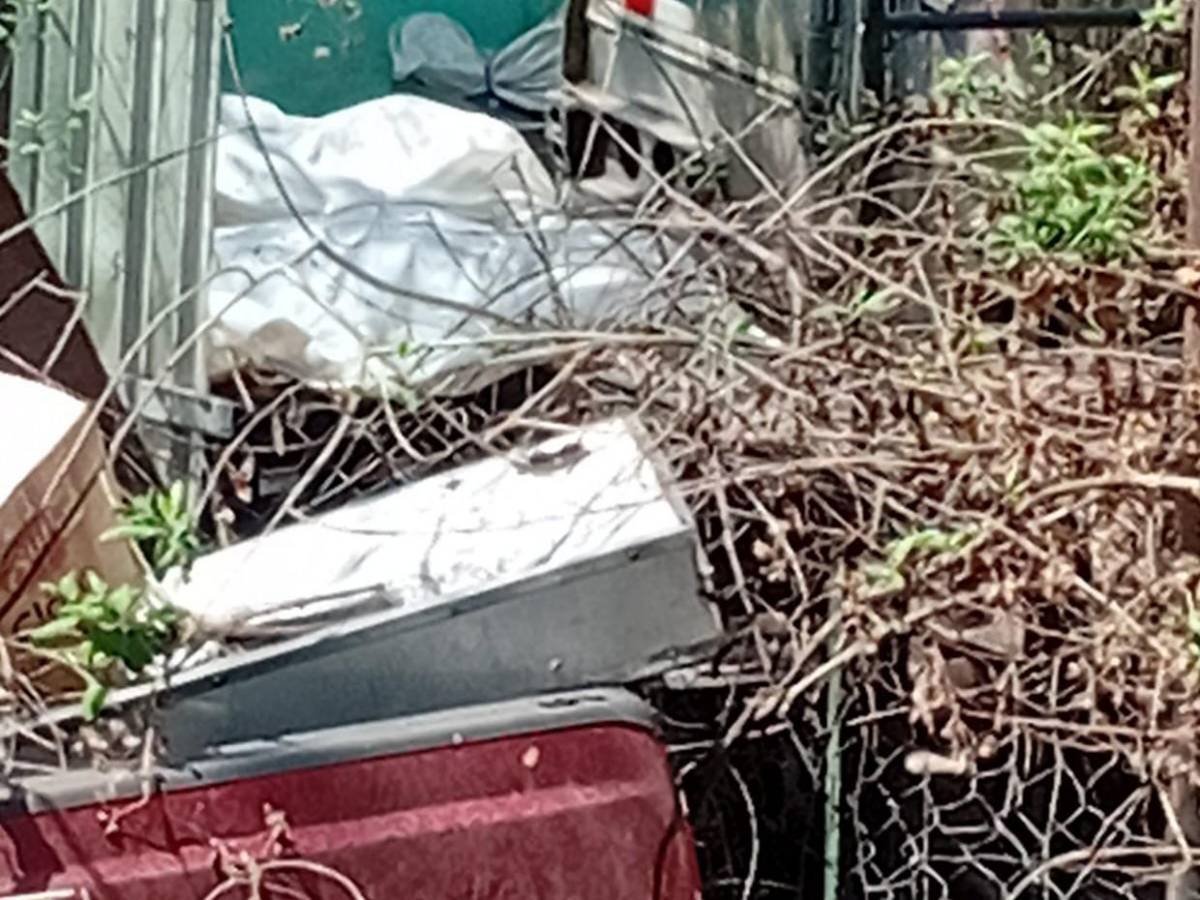 Olores fétidos y aves de rapiña: vecinos denuncian insalubridad en contenedores de morgue capitalina