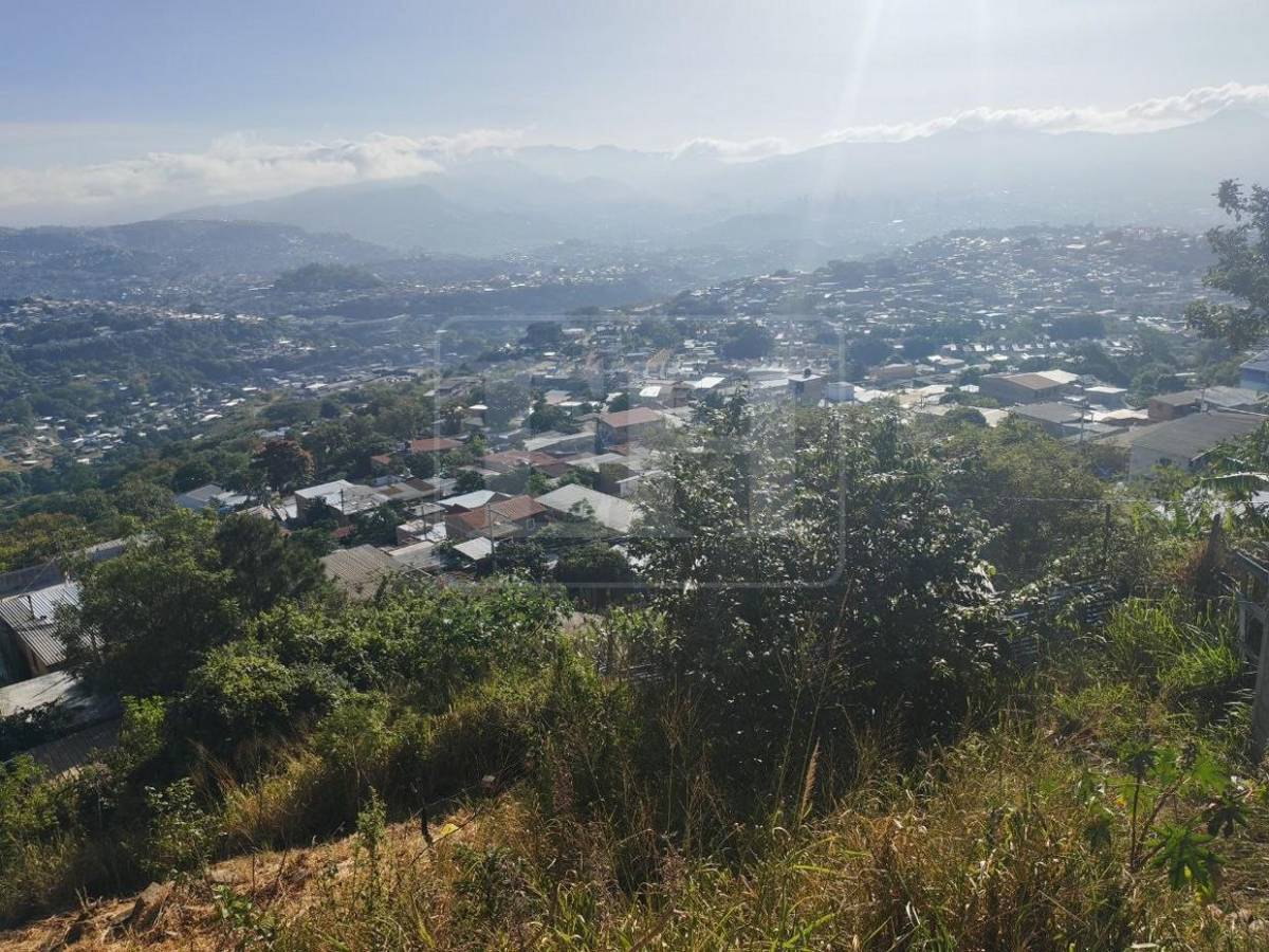 Domingo soleado, caluroso y con bruma: así está el clima en Tegucigalpa