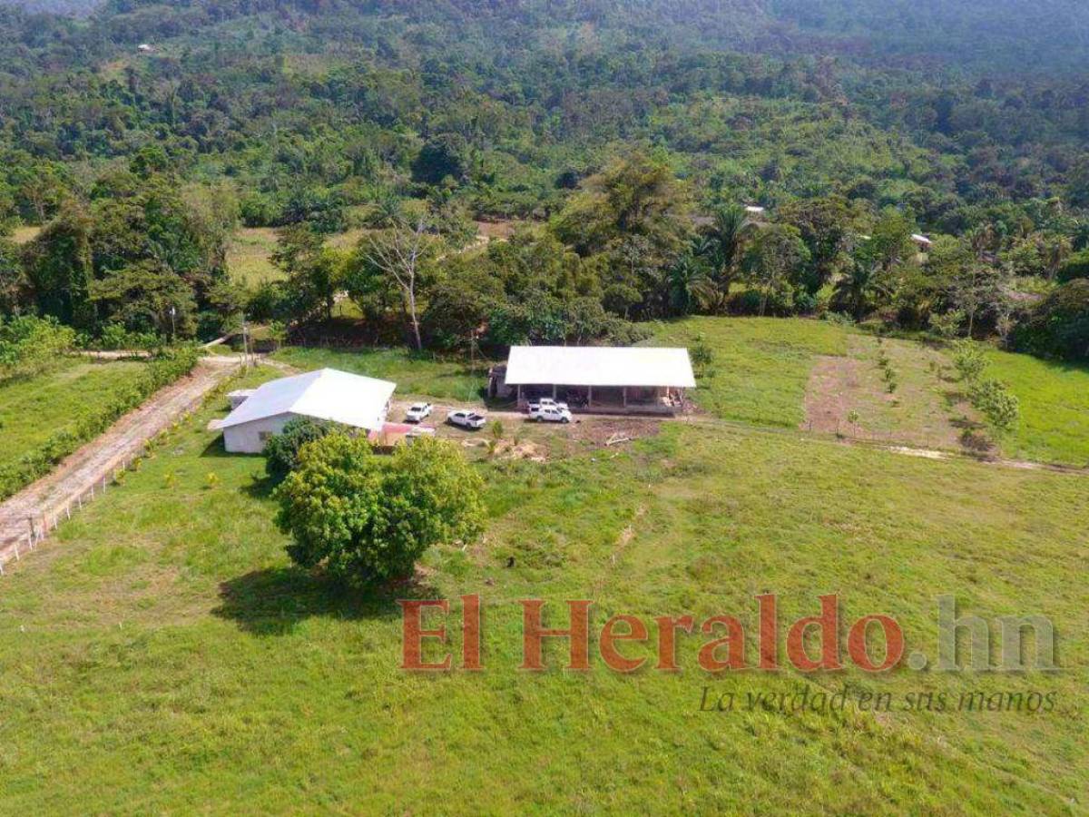 OABI tiene 50 propiedades disponibles para campesinos en Honduras