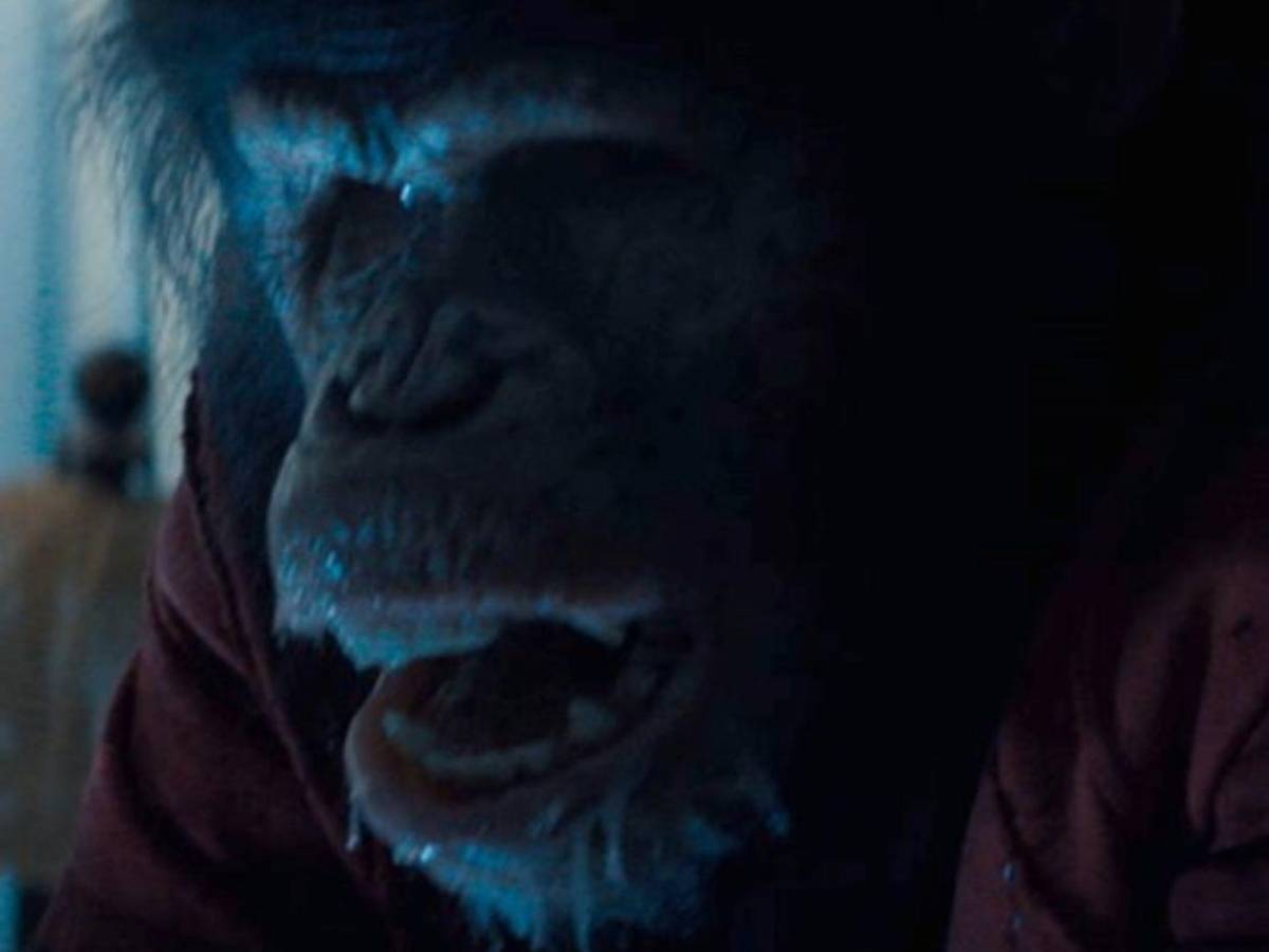 El chimpancé rabioso de Primate aterroriza las salas hondureñas desde mañana