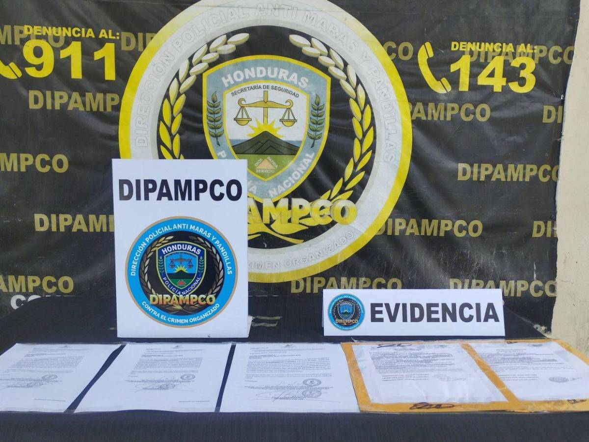 ¿Por qué el gobierno de Nasry Asfura eliminará la Dipampco y qué institución se creará?