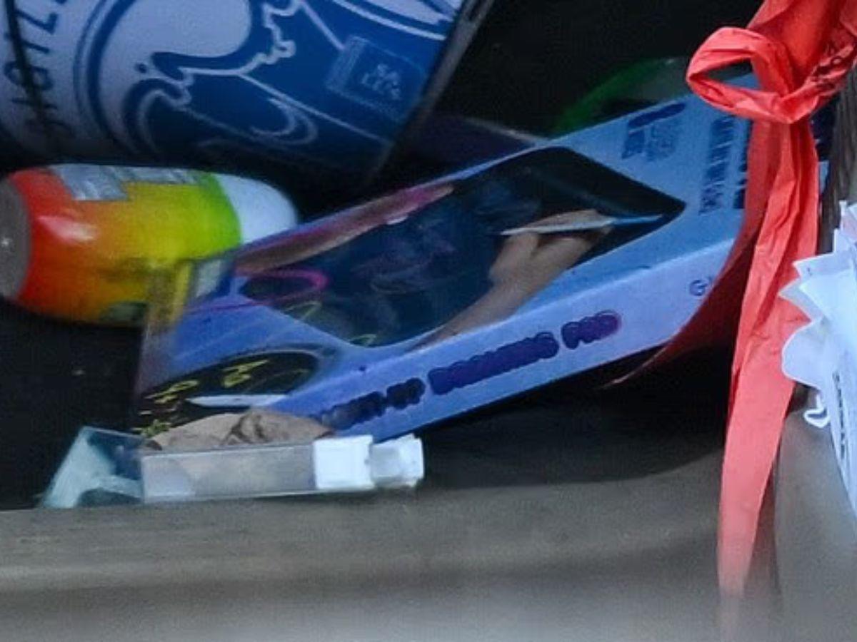 ¿Quién era Renee Nicole Good, madre atacada por un agente de ICE en Minneapolis?