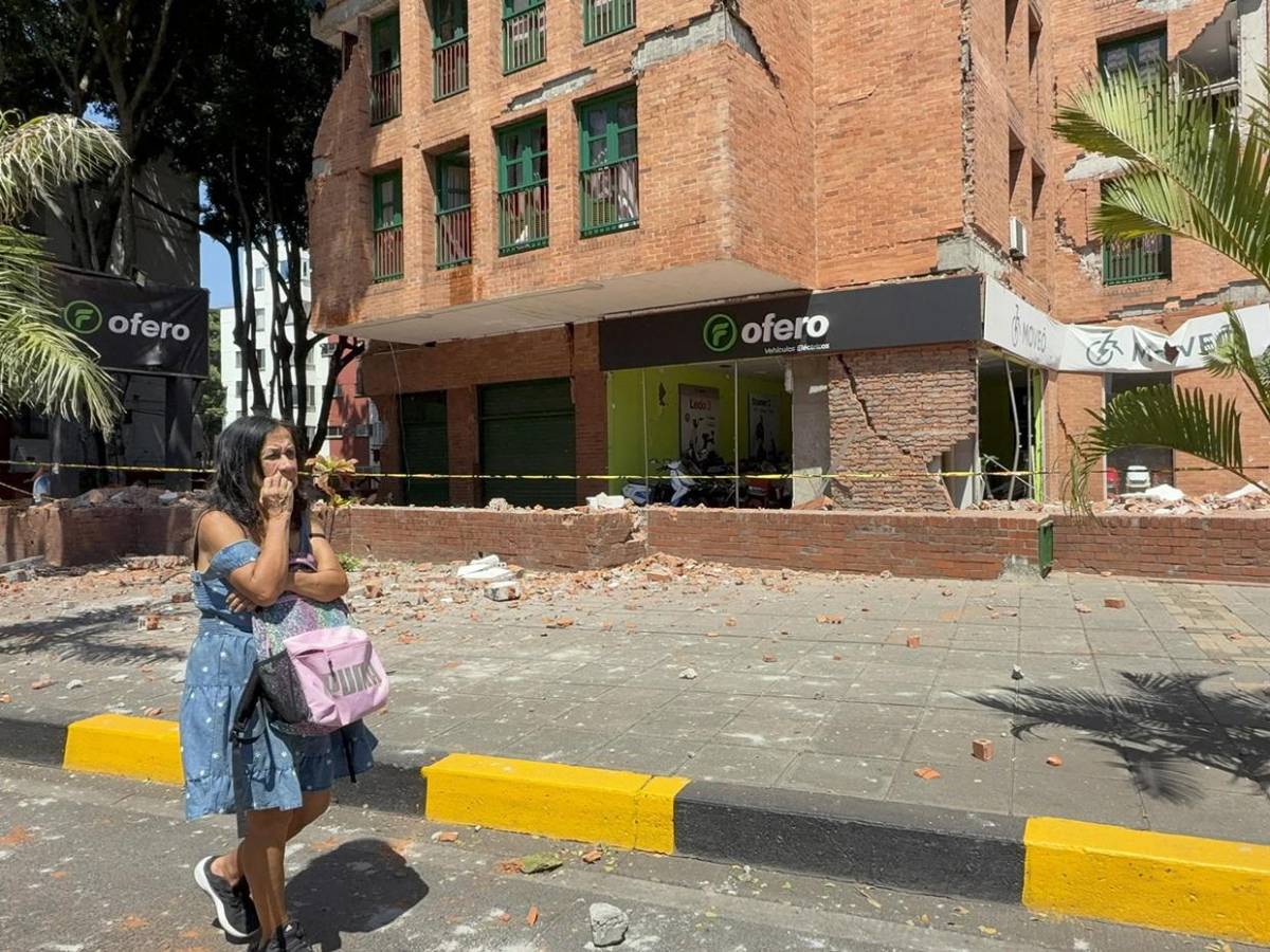 Antonio, el perro rescatado entre escombros da esperanza a una familia en Cali