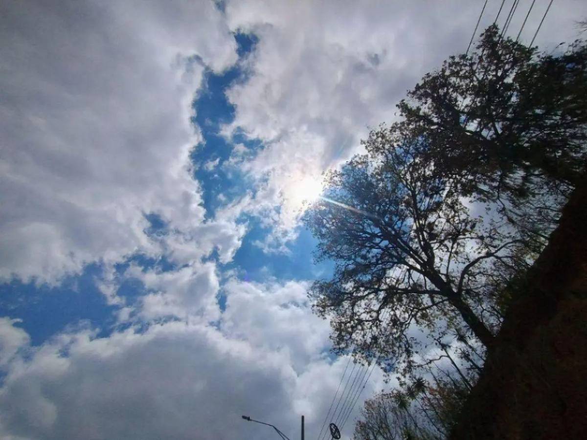 ¿Qué explica el aumento del calor y por qué podría continuar? Esto dicen los expertos