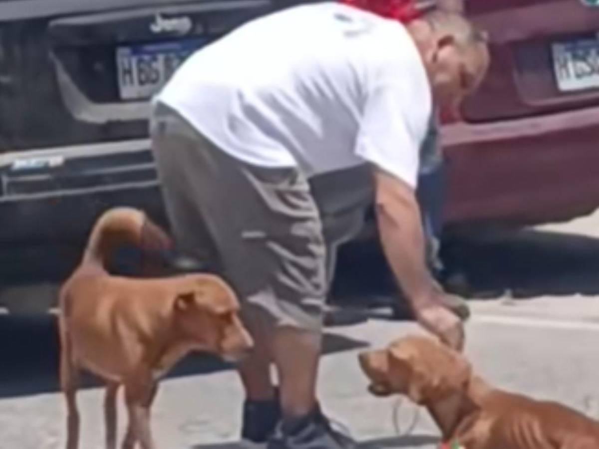Detienen al hombre que arrastraba a un perro con su carro en Choloma
