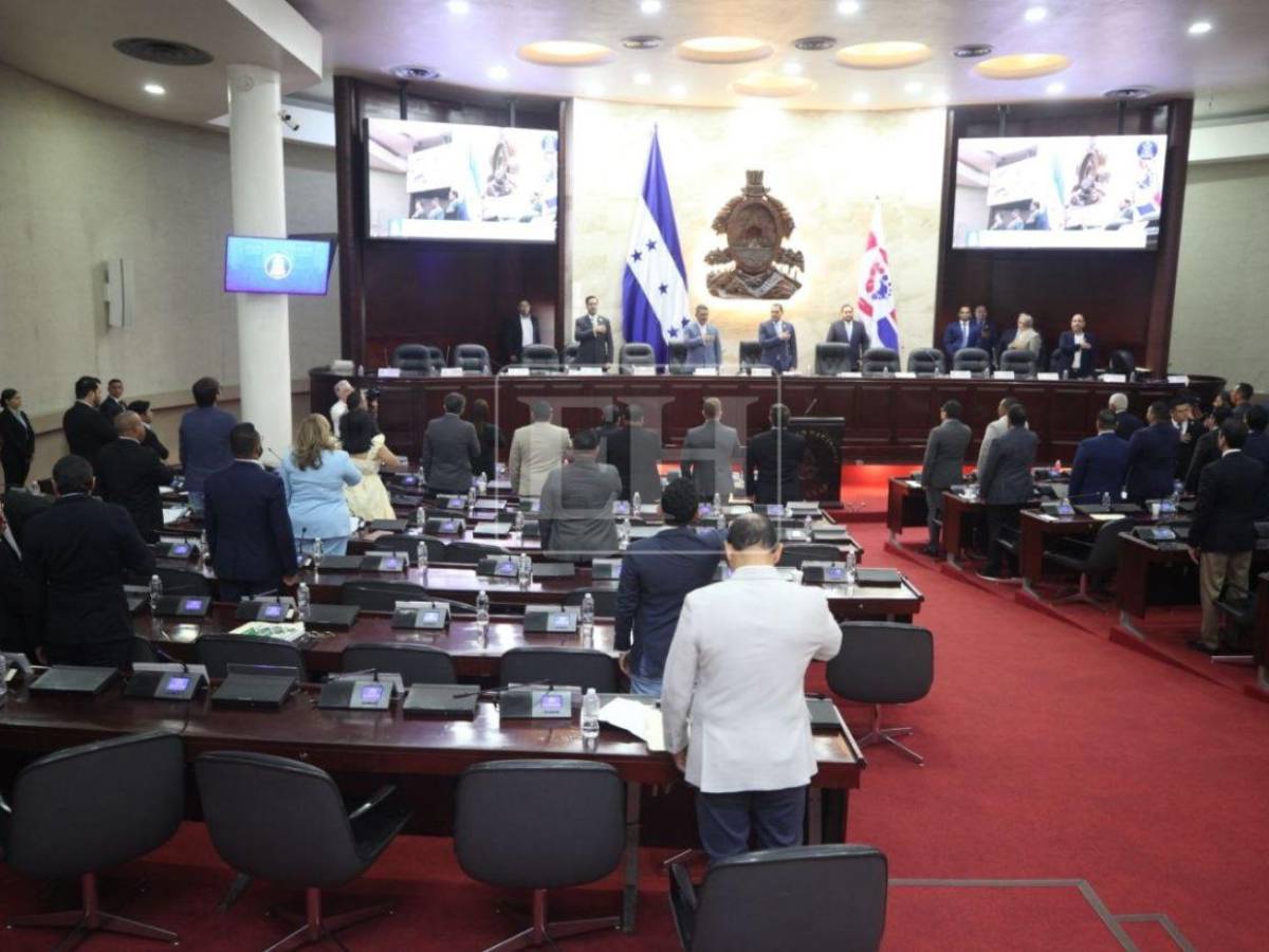 Deudas con la ENEE, el SAR y la tasa vehicular: las seis amnistías aprobadas por el CN