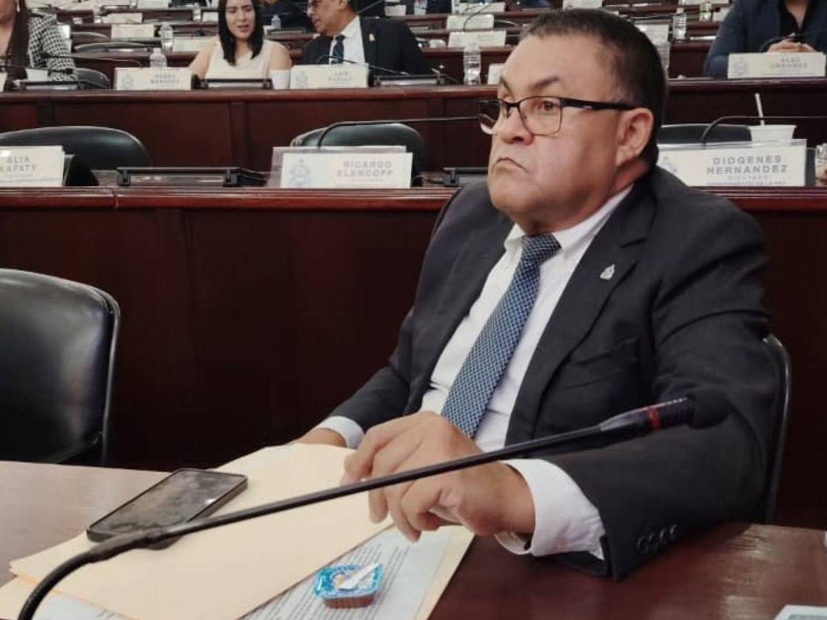 ¿Qué diputados no votaron para aprobar la Ley de Justicia Energética?