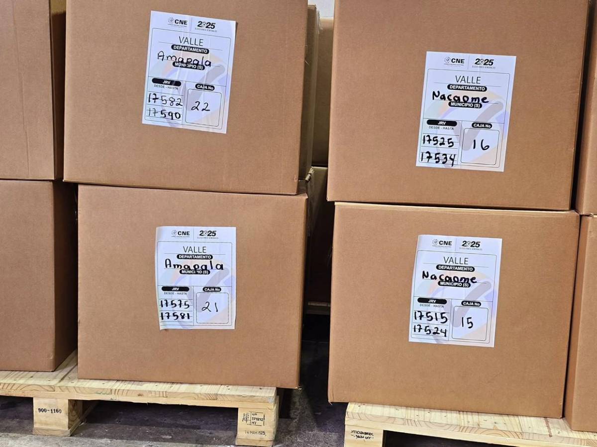 Arranca fase final: CNE entra en periodo intenso de preparación de material electoral