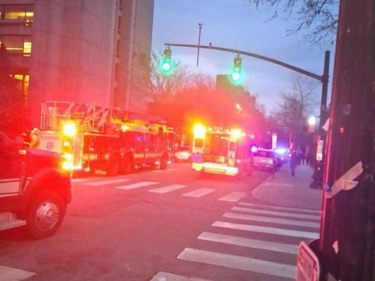 ¿Qué es la lotería de visas suspendida por Trump tras el tiroteo en EE UU?