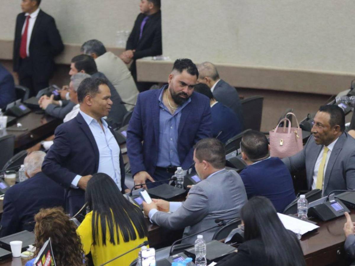 Mientras Redondo está en Marruecos, Congreso Nacional desarrolla sesión legislativa