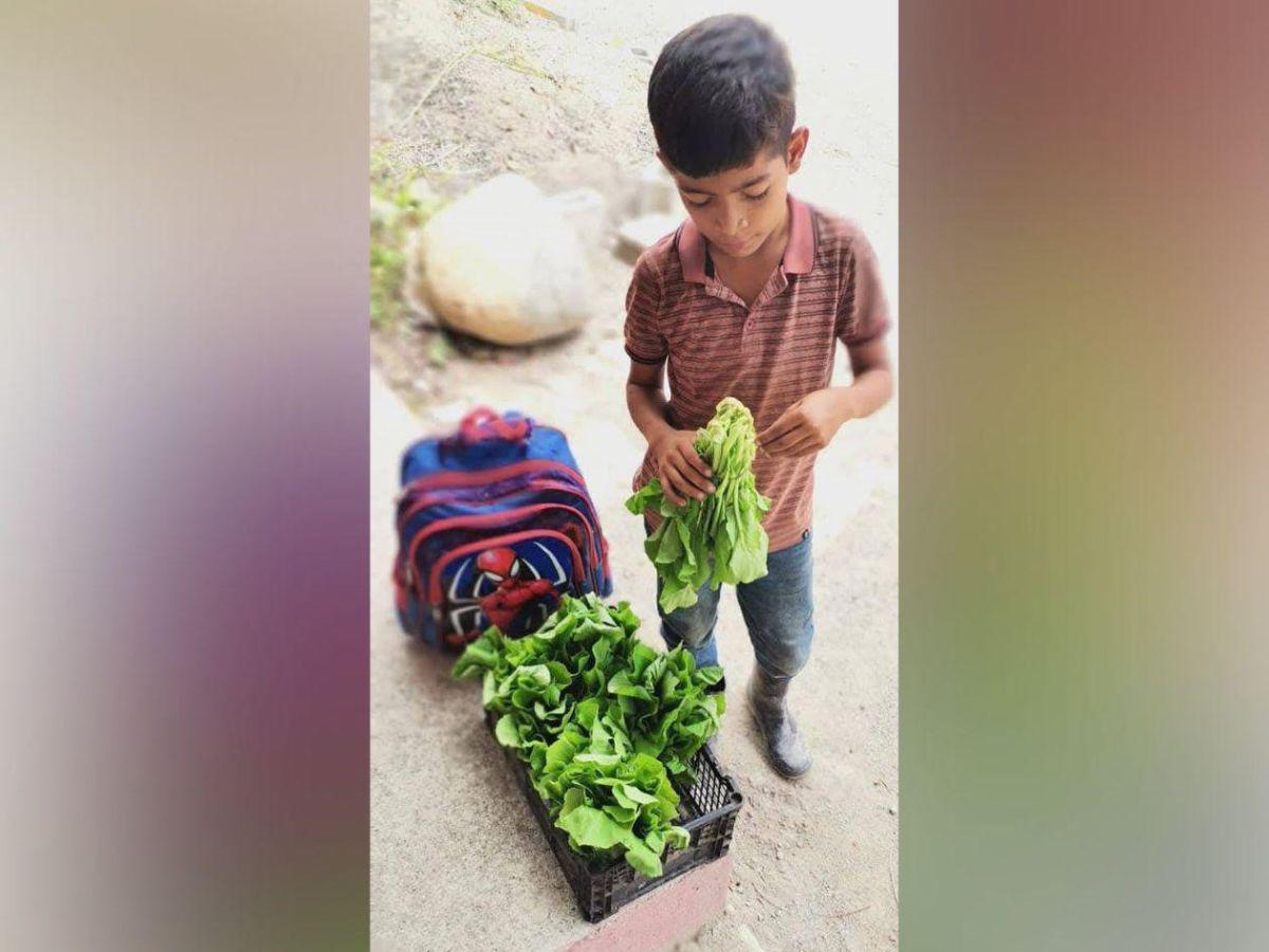 Elmer Quino vendía mostaza y verduras para ayudar a su familia: murió ahogado al volcarse un bus