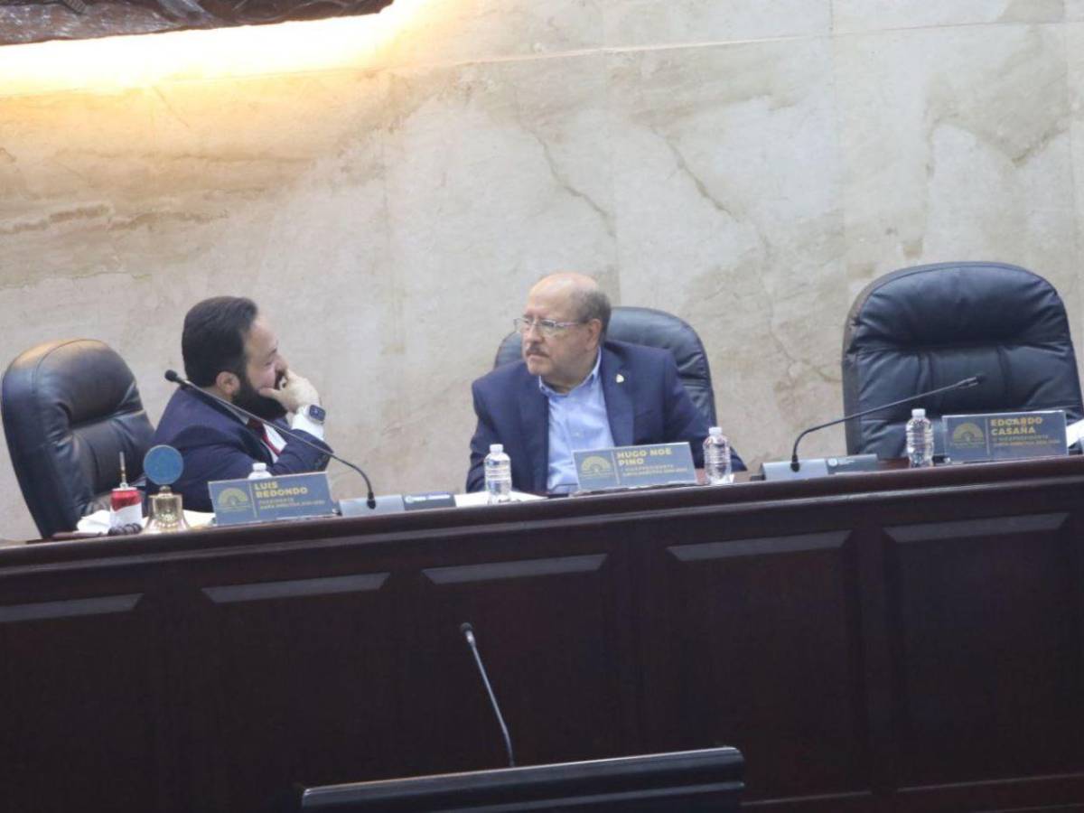 En qué consiste el protocolo facultativo sobre la niñez rechazado por la oposición en el CN