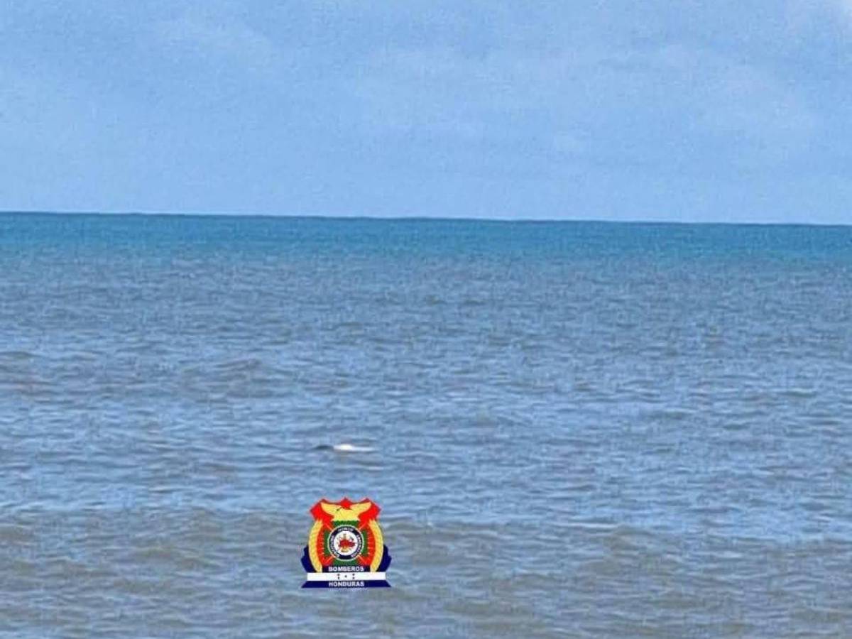 Trabajaba en una lavandería: Víctor Velázquez, hallado flotando en playas de La Ceiba