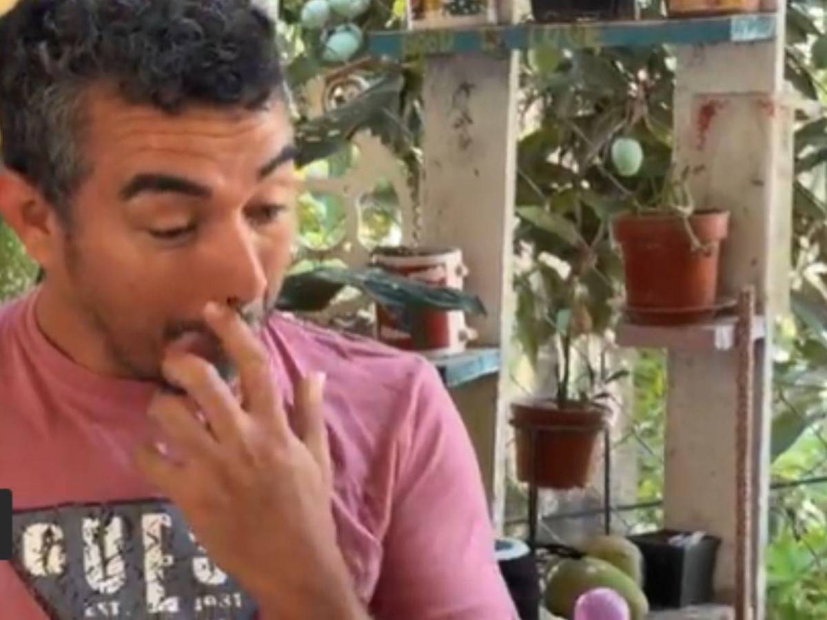 Ella quería descansar con su peluche de Hello Kitty: madre revela qué decía la carta de Violeth