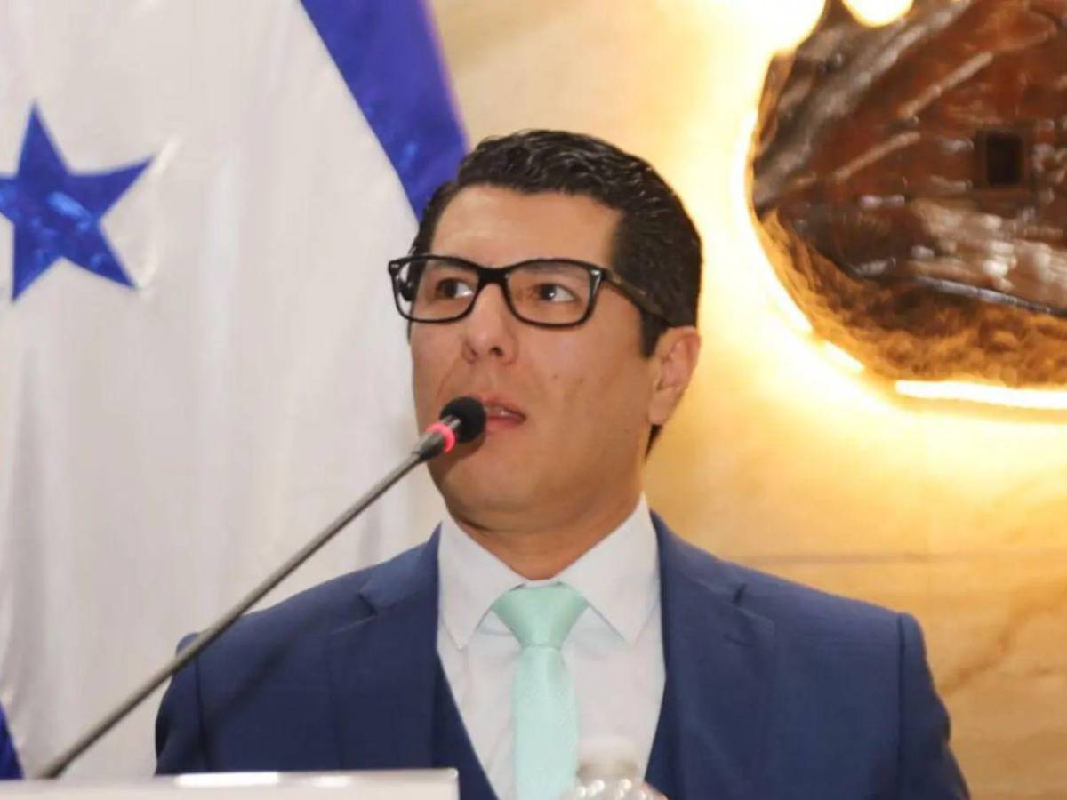 Ellos son los diputados que integran la comisión especial contra Johel Zelaya