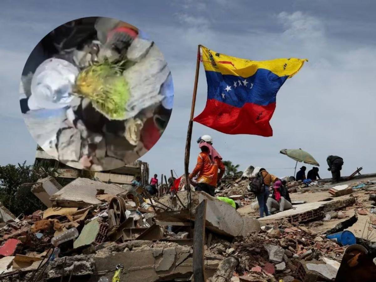 Murió Panchito, el lorito que había sido rescatado tras los terremotos en Venezuela