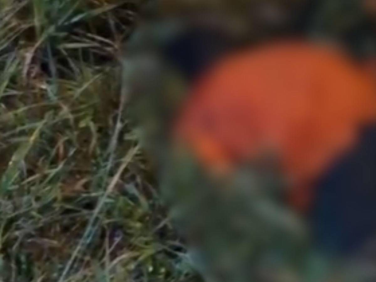 Les pidieron que corrieran para luego dispararles: Identifican a hermanos asesinados a balazos en La Ceiba