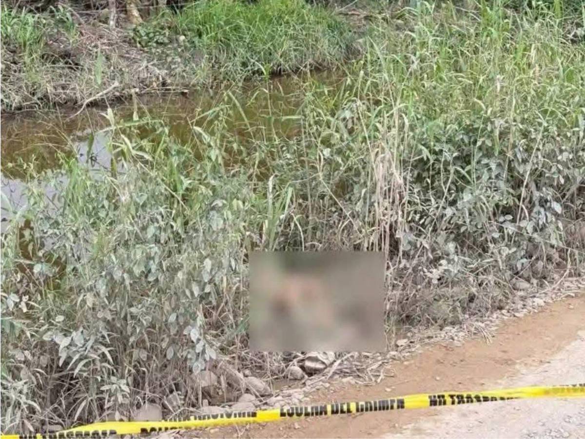 Sindy Paz salió con sus amigas y fue asesinada en su cumpleaños en La Ceiba