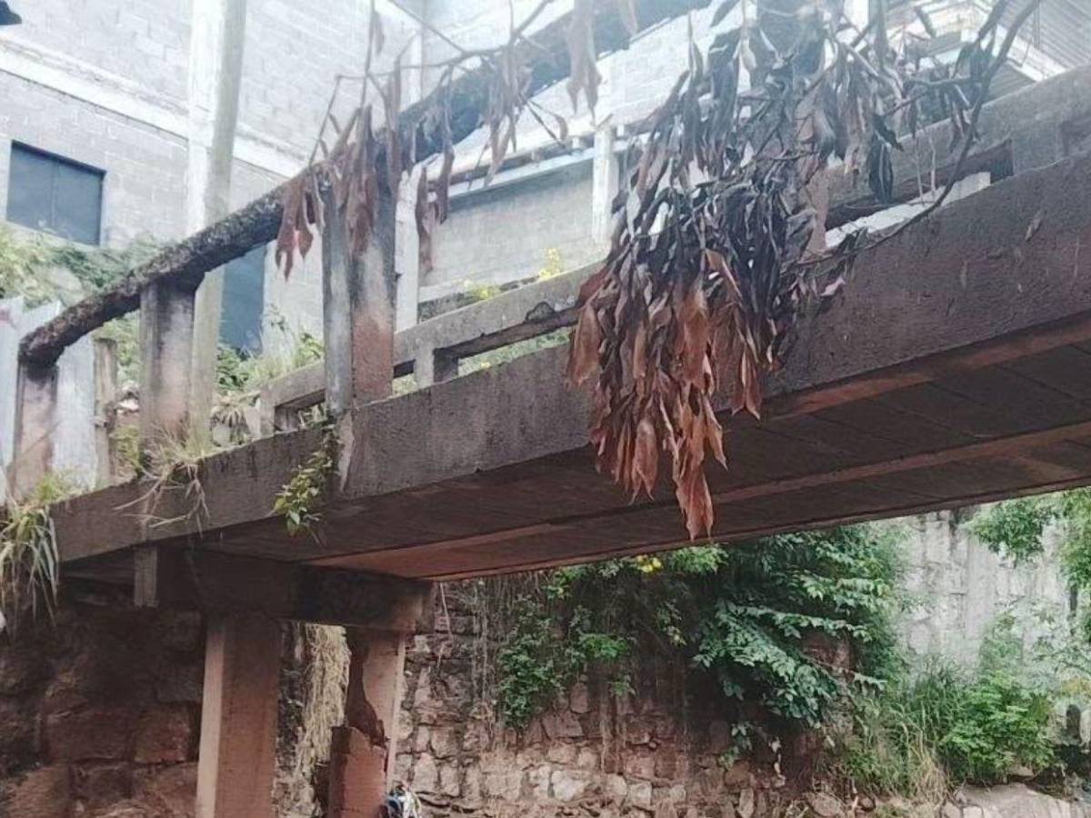 Más de 5,000 vecinos en riesgo de quedar incomunicados por puente dañado