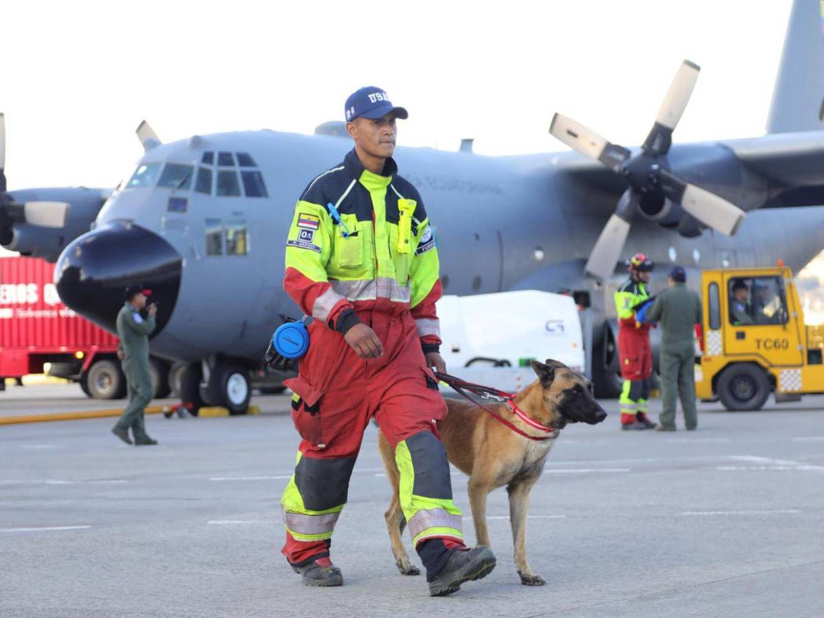 Víveres, búsqueda con perros,  drones y equipo médico: comunidad internacional no deja sola a Venezuela