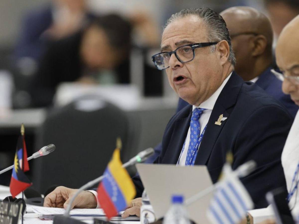 ¿Quién es Carlos Bernardo Cherniak, embajador que cuestionó a Marlon Ochoa en la OEA?