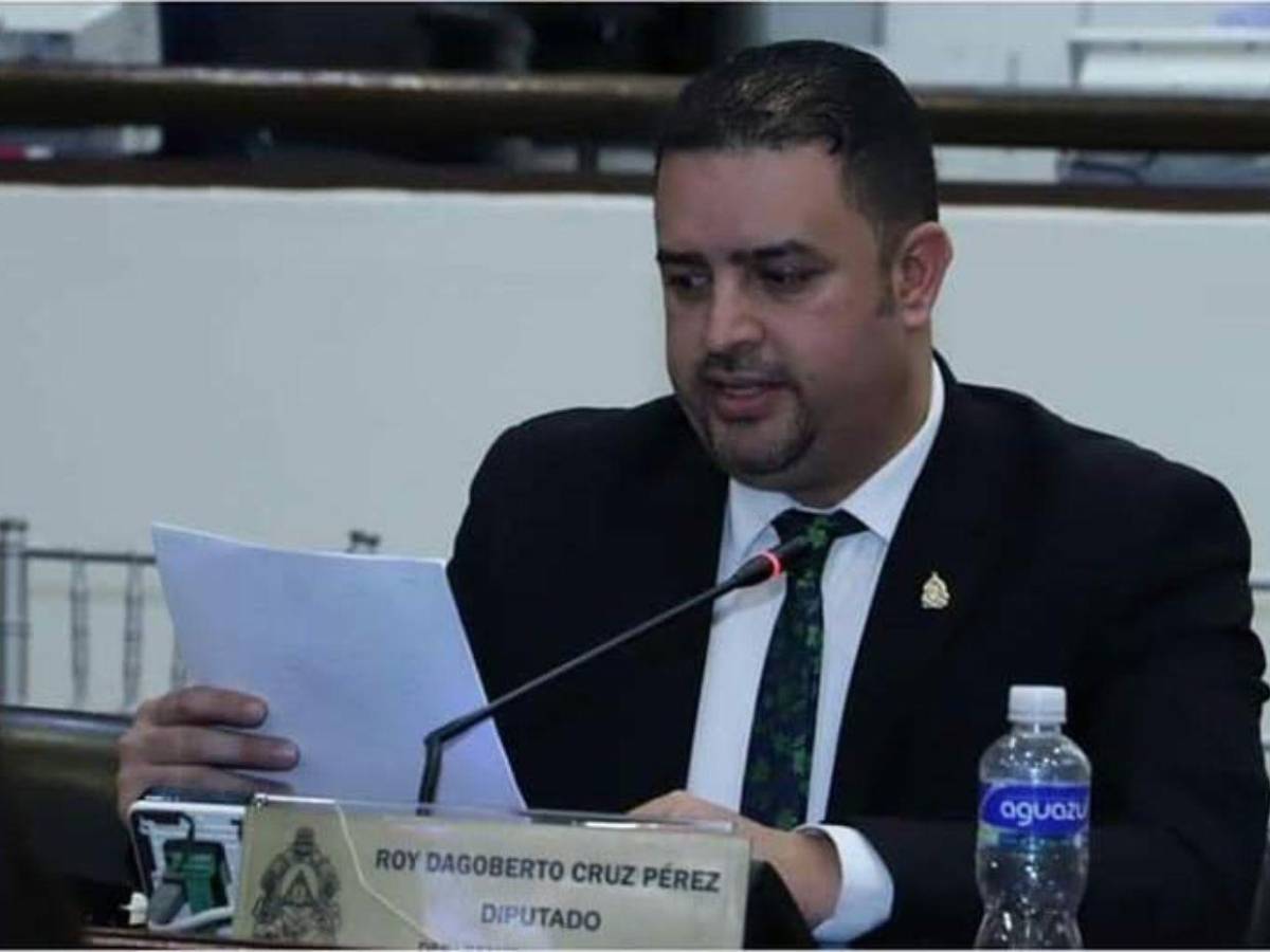 Los 20 diputados más votados de Honduras en las elecciones generales 2025